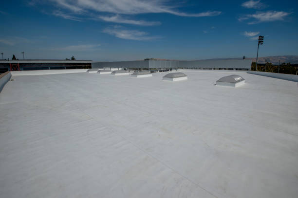 Best Metal Roofing Installation  in Point, TX